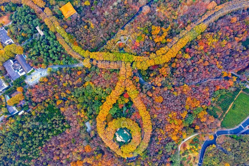 Private one-day tour of Niushou Mountain, Meiling Palace in Nanjing - A day that connects several Nanjings