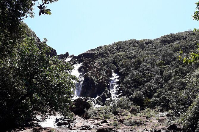 Private One Day Tour through The Deep South - Good To Know