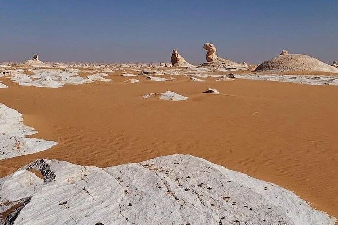 Private One Day Tour to the White Desert From Cairo - Meeting and Pickup Details