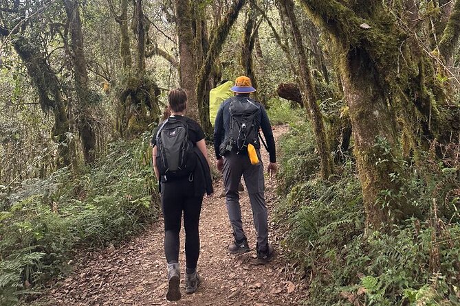 Private One-Day Trek to Mount Kilimanjaro - Good To Know