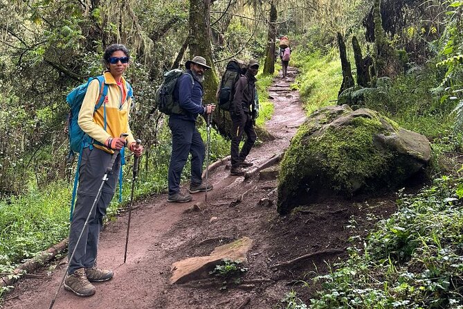 Private One-Day Trek to Mount Kilimanjaro - Booking Information