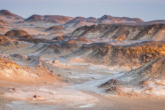 Private ONE Night Camping in White and Black Desert From Cairo - Frequently Asked Questions