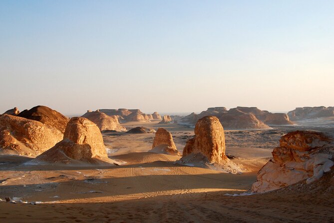 Private ONE Night Camping in White and Black Desert From Cairo - The Sum Up