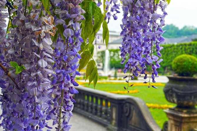 Private One-Way Tour From Prague to Salzburg-2h Stop in Hallstatt - Cancellation and Refund Policy