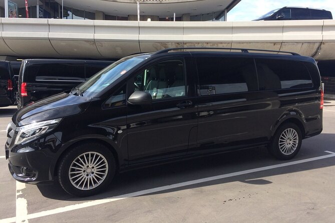 Private One-Way Transfer: City of Paris - Overview of the Service