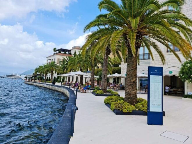 Private One Way Transfer From Dubrovnik or Airport to Tivat - Important Information