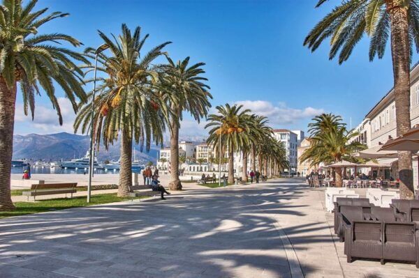 Private One Way Transfer From Dubrovnik or Airport to Tivat - Pickup and Dropoff