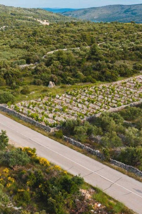 Private One Way Transfer From Orebić to Dubrovnik - Booking and Payment Details