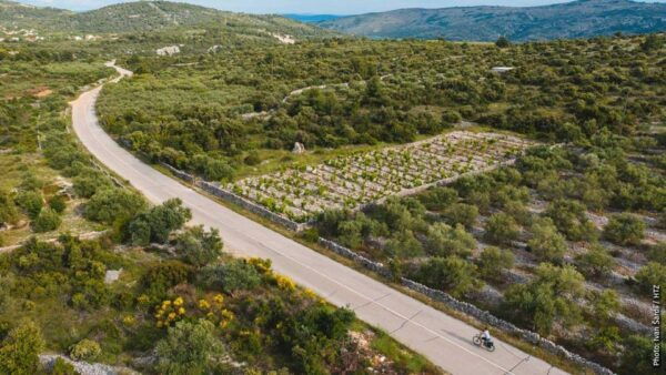 Private One Way Transfer From Orebić to Dubrovnik - Price and Duration