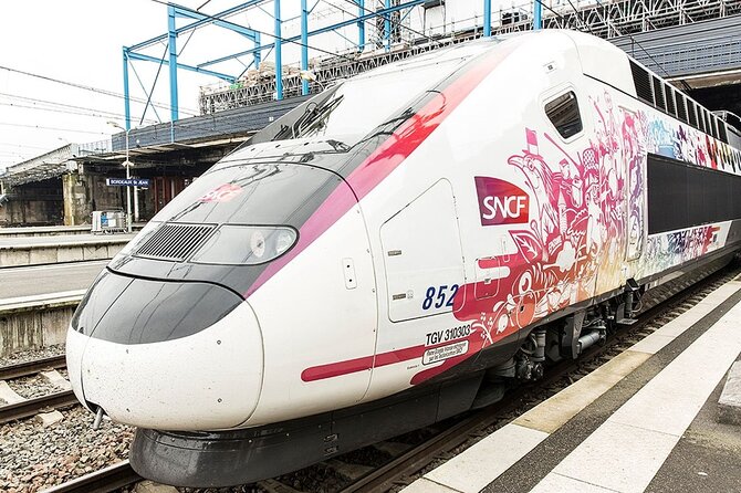 Private One Way Transfer From Railways Station to Hotel in Paris - Customer Reviews