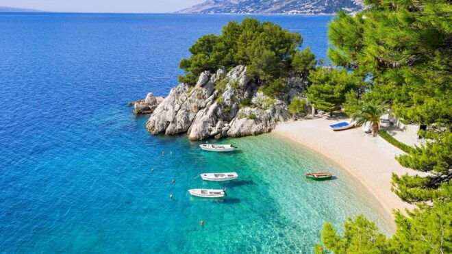 Private One Way Transfer From Split/ Split Airport to Brela - Vehicle and Driver Comfort