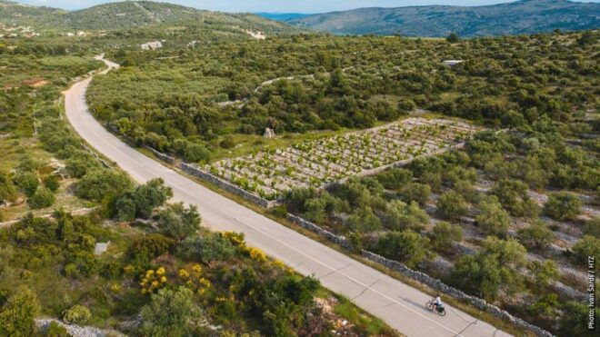Private One Way Transfer From Trogir to Split - Inclusions of the Service