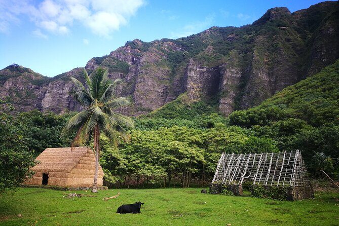 Private One way Transfer Waikiki Hotel and Kualoa Ranch - Private One way Transfer Waikiki Hotel and Kualoa Ranch: A Practical Guide