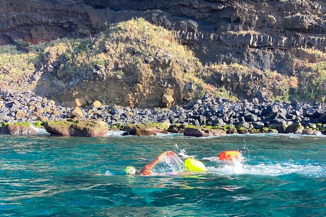 Private Open Water Swimming Experience in Madeira Island - Additional Information