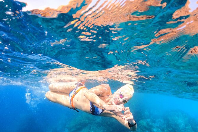 Private Open Water Swimming Experience in Madeira Island - Questions and Pricing