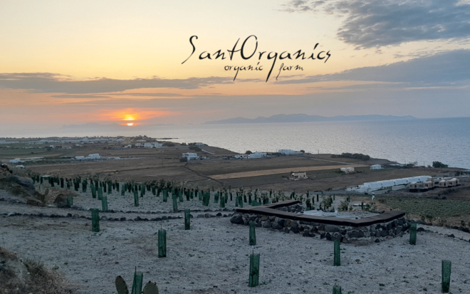 Private Organic Vineyard Visit With Liqueur Tasting - Pricing and Reservation Details