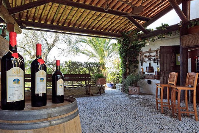 Private Organic Wine & Provence Food Tasting Tour - Tour Overview