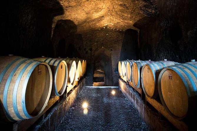 Private Orvieto Daytrip From Rome With Winery Visit - Itinerary Highlights