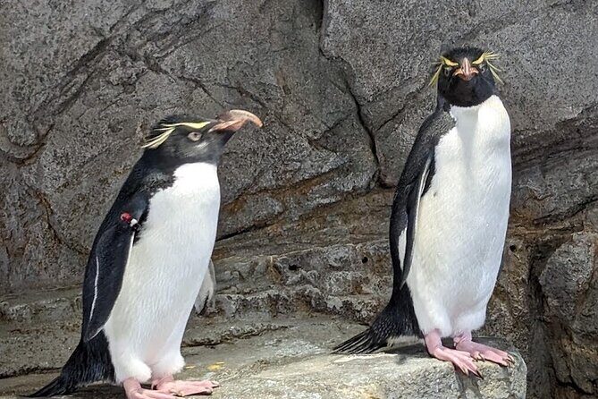 Private Osaka and Nara tour with English speaking guide - FAQ