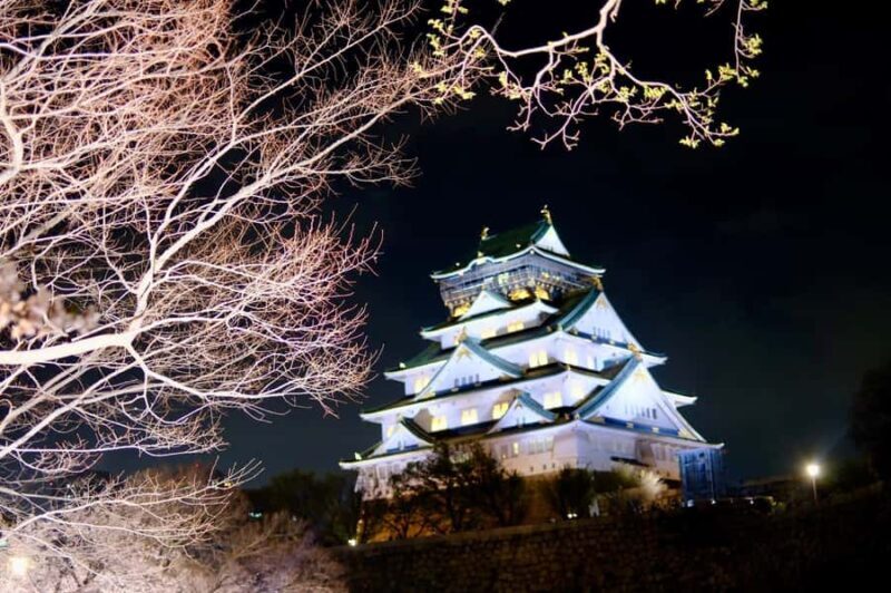 Private Osaka Nara & Katsuo-ji Temple Minoh Tour With Guide - Guide & Experience Quality