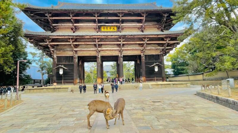 Private Osaka Nara & Katsuo-ji Temple Minoh Tour With Guide - The Sum Up: Who Is This Tour Best For?
