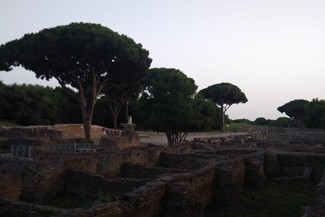 Private Ostia Antica Day Tour From Rome - Knowledgeable Driver