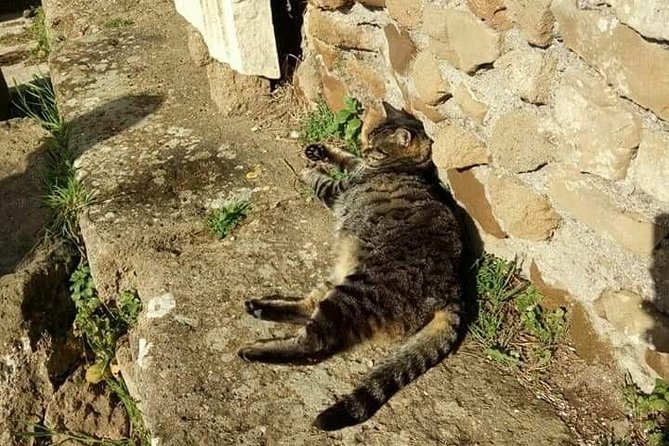 Private Ostia Antica Day Tour From Rome - Fascinating Archaeological Site