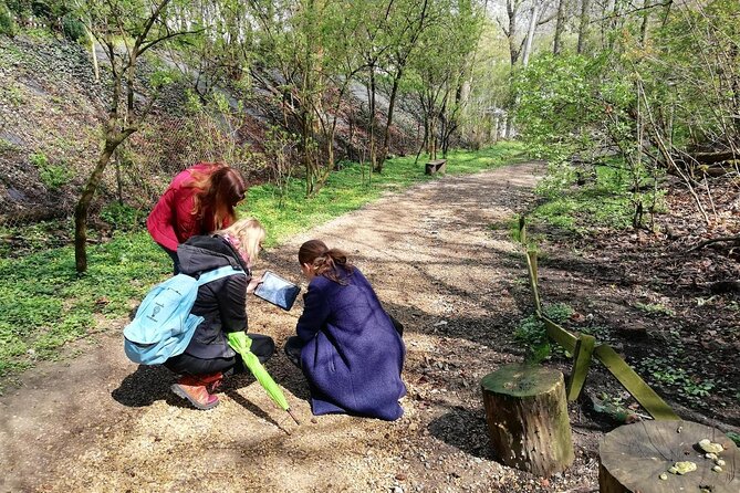 Private Outdoor City Games Escape Rooms - Game Concept and Objectives