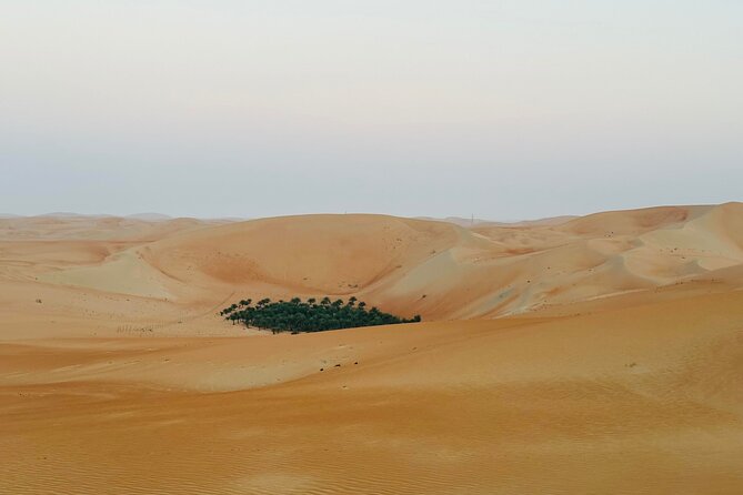 Private Overnight Camping in Liwa With BBQ Dinner & Breakfast - Breakfast and Departure