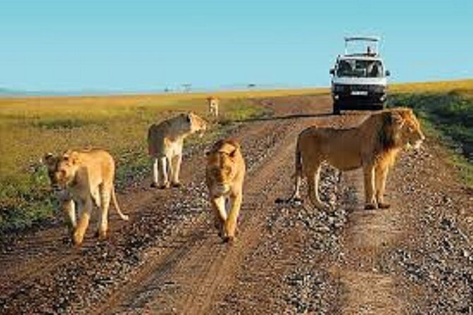 Private Overnight Safari to Tsavo East - Inclusions and Exclusions