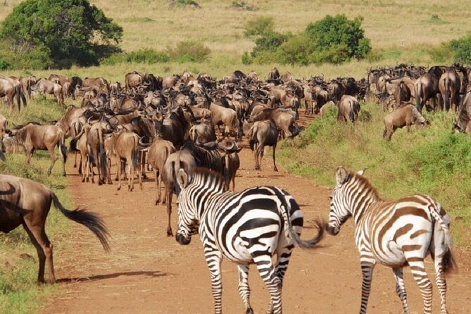 Private Overnight Safari to Tsavo East - Additional Information