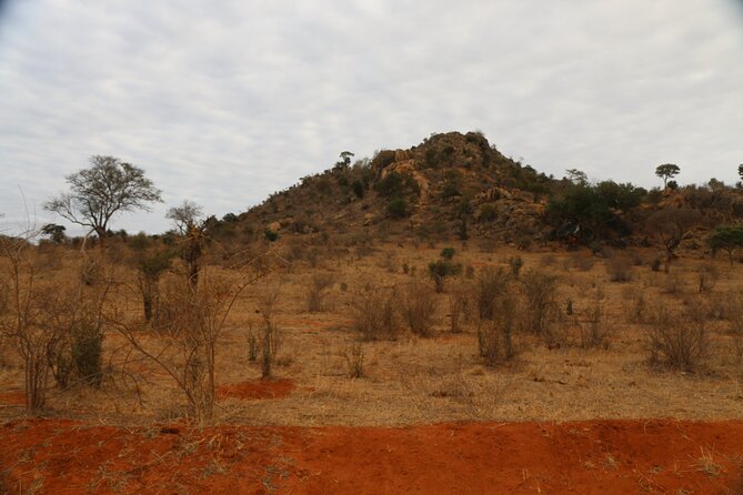 Private Overnight Safari to Tsavo East - Operator Details