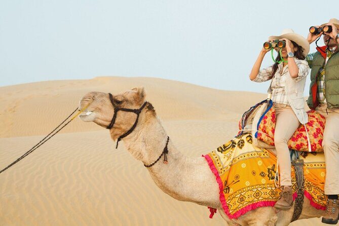 Private Overnight Safari Tour with Camel Ride - An In-Depth Look at the Tour Experience