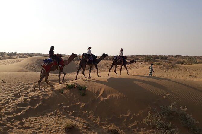 Private Overnight Safari Tour with Camel Ride - Good To Know