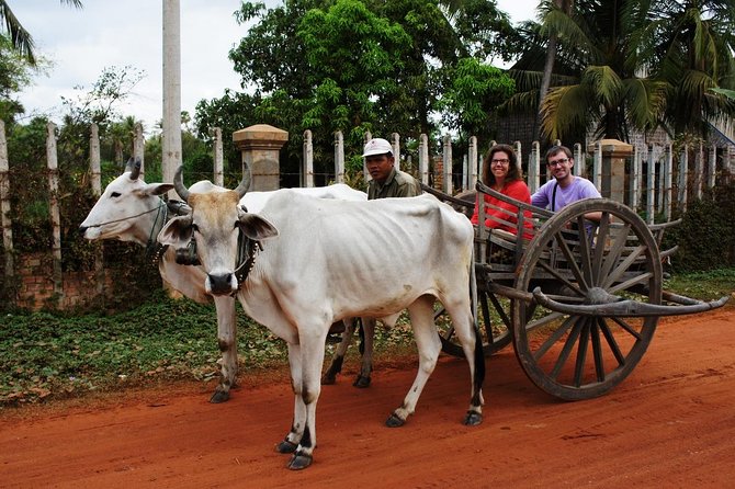 Private Ox Cart Ride and Local Village Experience From Siem Reap - Additional Information