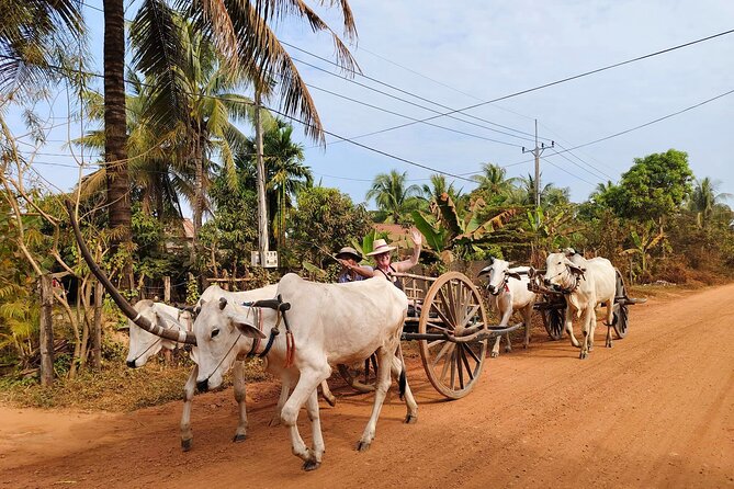 Private Oxcart Ride and Local Village Tour With Cooking Class - Reviews