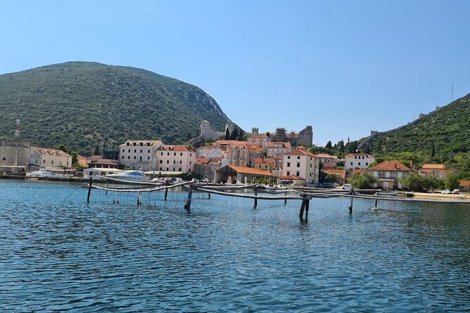 Private Oyster and Wine Tasting Day Trip Along Peljesac - Additional Details and Information