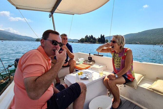 Private Oyster and Wine Tasting Day Trip Along Peljesac - Reviews and Customer Feedback