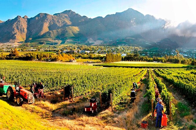 Private Paarl, Franschhoek, Stellenbosch Wine Tour From Cape Town - Inclusions and Exclusions