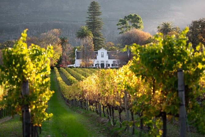 Private Paarl, Franschhoek, Stellenbosch Wine Tour From Cape Town - Wine Tasting Experience