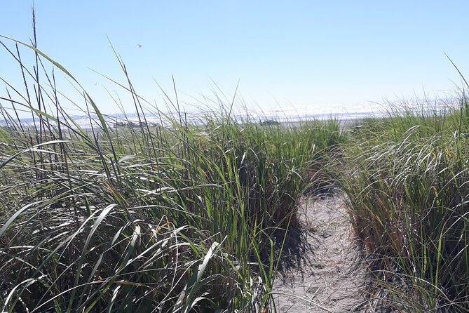 Private Pacific Ocean Beach Experience - Experience Overview