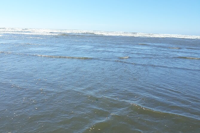 Private Pacific Ocean Beach Experience - Pricing and Booking Details