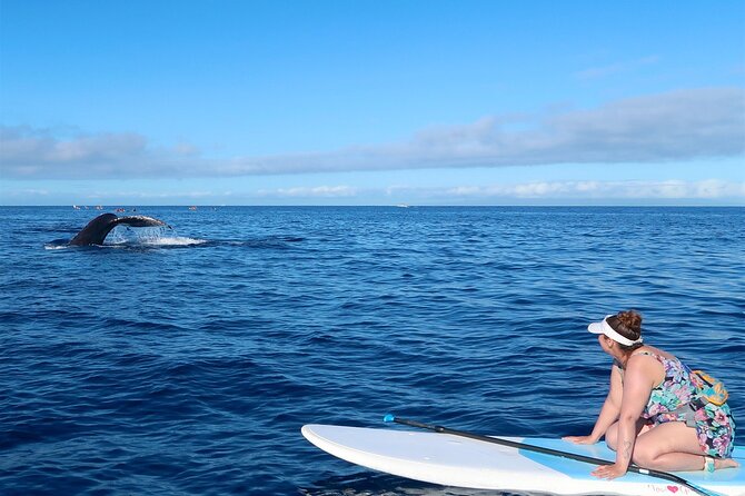 Private Paddleboard (Sup) Whale Watch! (All Skill Levels Welcome) - Meeting and Pickup Details