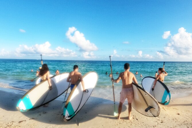 Private Paddleboard Tour Caribbean Sea For All Levels - Tour Overview and Inclusions