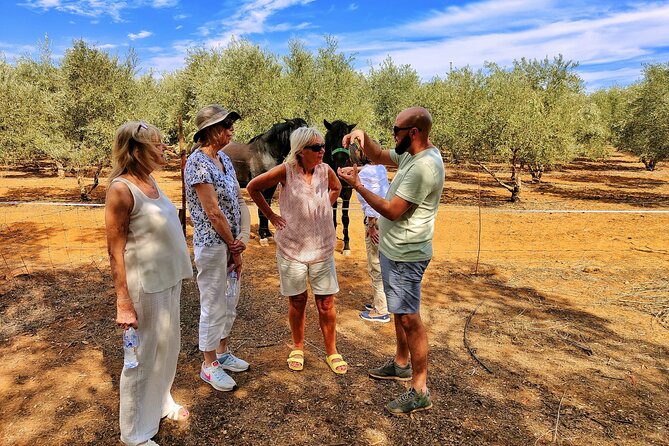 Private Paella Master Class at Olivos Farm - Location and Duration