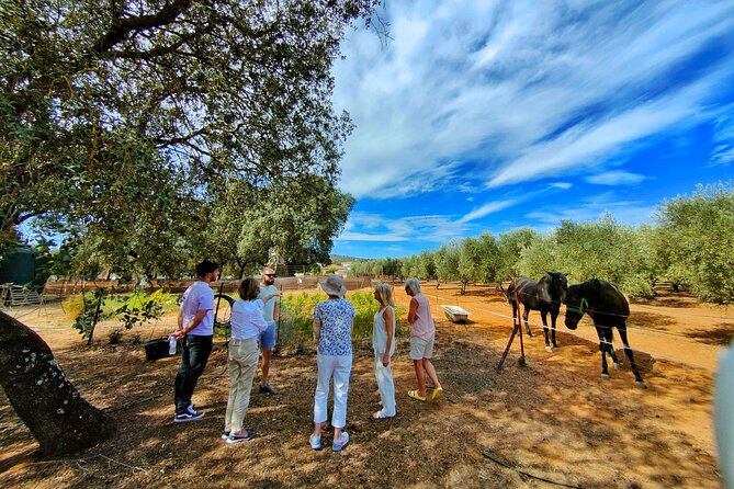 Private Paella Master Class at Olivos Farm - Common Questions