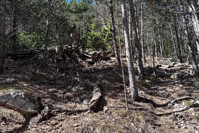 Private Paklenica Hiking Tour From Zadar up to 8 People - Cancellation Policy