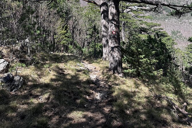 Private Paklenica Hiking Tour From Zadar up to 8 People - Customer Reviews