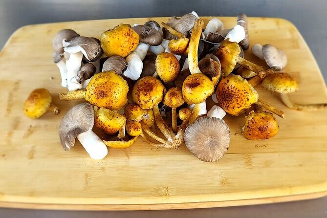 Private Palm Springs Cooking Class with a Fun Local Chef Stephen - Who This Tour Is Best For