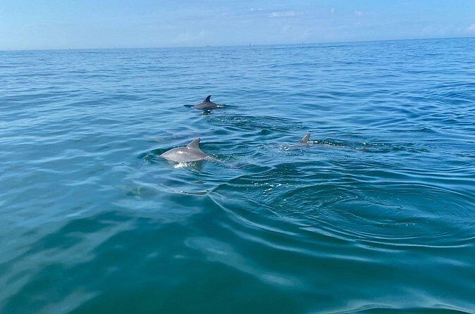 Private Panama City Beach Sunset Tour - Why Choose This Tour?